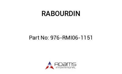 976-RMI06-1151