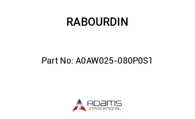 A0AW025-080P0S1