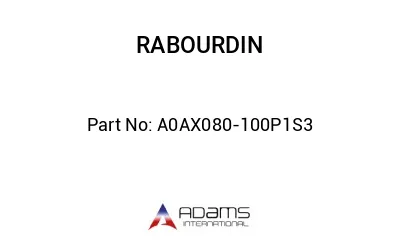 A0AX080-100P1S3