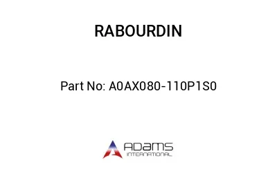 A0AX080-110P1S0