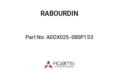 A0DX025-080P1S3