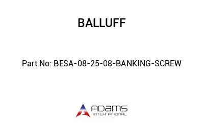 BESA-08-25-08-BANKING-SCREW									