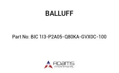 BIC 1I3-P2A05-Q80KA-GVX0C-100									